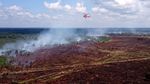 Superpuma Padamkan Kebakaran Hutan di Riau