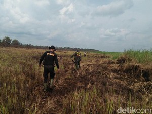 DanSatgas Udara: Ada Unsur Kesengajaan dalam Kebakaran Lahan di Riau