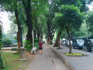 Mobil Kena Kotoran Burung atau Getah Pohon, Segera Cuci!