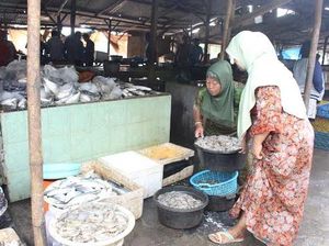 Nelayan Tak Melaut, Harga Ikan Laut Ikut Naik