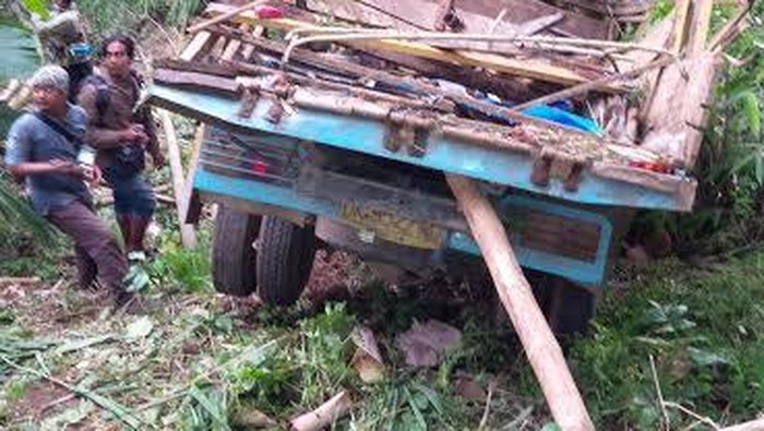 Truk Muat Sapi Terjun ke Jurang Lereng Bromo, Dua Orang Dirawat Intensif