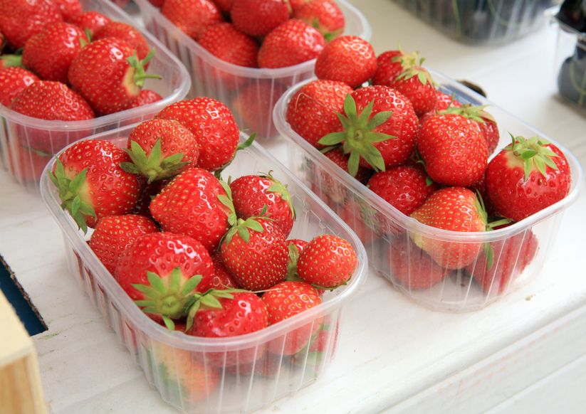 tips memilih strawberry