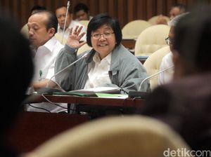 Blak-blakan Menteri LHK: Siapa Pejabat Suka Obral Lahan?