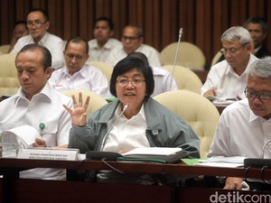 Hindari Hukum, Banyak Perusahaan di Riau Bakar Hutan Mengatasnamakan Warga