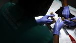 Melihat Lebih Dekat Pusat Rehabilitasi Primata Kukang