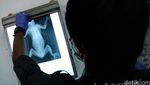 Melihat Lebih Dekat Pusat Rehabilitasi Primata Kukang