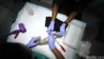 Melihat Lebih Dekat Pusat Rehabilitasi Primata Kukang