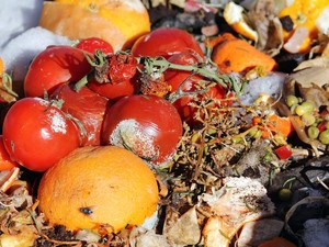 Lakukan Cara Praktis Ini untuk Kurangi Limbah Makanan di Rumah (1)