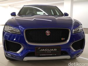 SUV Jaguar F-Pace Harganya Mulai Rp 1,9 Miliar