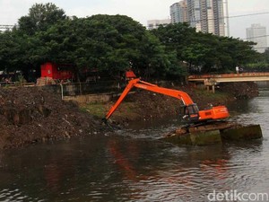 Darmin: Baru 50% Tanah di RI yang Bersertifikat