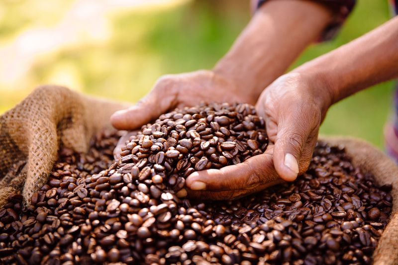 kopi menyehatkan