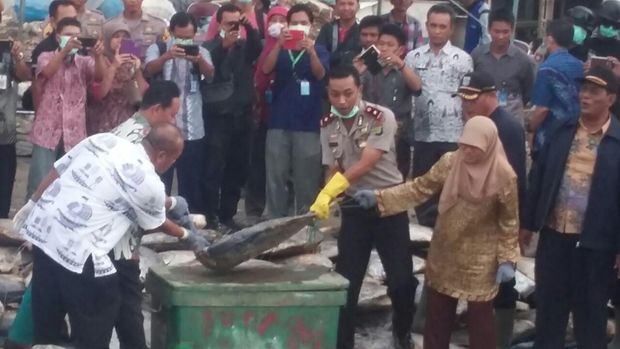 5 Ton Ikan Semar Berformalin Di Muara Baru Dimusnahkan