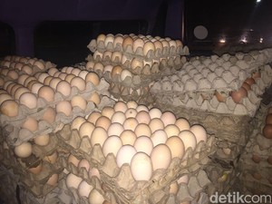 Ribuan Telur Busuk Siap Edar Disita Polisi di Bogor