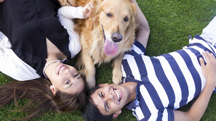 Lovely couple with a cute dog at the park - outdoors