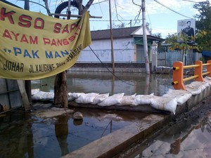 Banjir Rob di Pantura Semarang, Ganjar Telepon Menteri PU Minta Bantuan