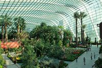 Sambut Valentine, Ini Tempat Romantis di Singapura