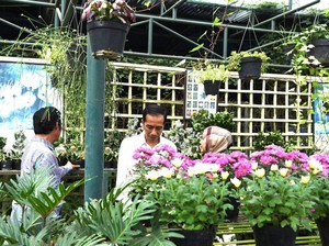 Ketika Jokowi Ngabuburit di Taman Bunga Nusantara dan Bikin Kaget Polantas