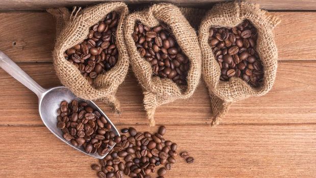 Differences between Arabica and Robusta coffee beans.