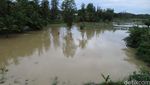 Banjir Rendam Persawahan di Bantul