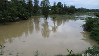 Hingga saat ini banjir masih terjadi akibat debit air di beberapa sungai terus naik.