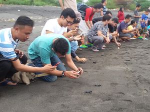 Jelang Ngabuburit, Komunitas Ini Ajak Warga Lepas Tukik di Pantai