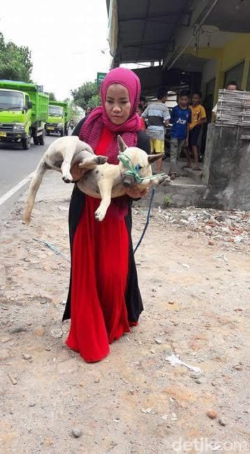 Desy Perempuan Berjilbab Rawat Anjing Kena Air Liur Najis Ya