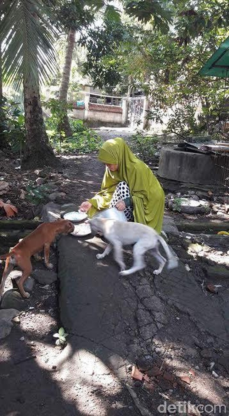 Cerita Desy Saat Anjing Peliharaannya Ditangkap Orang Dan Dimasak Di