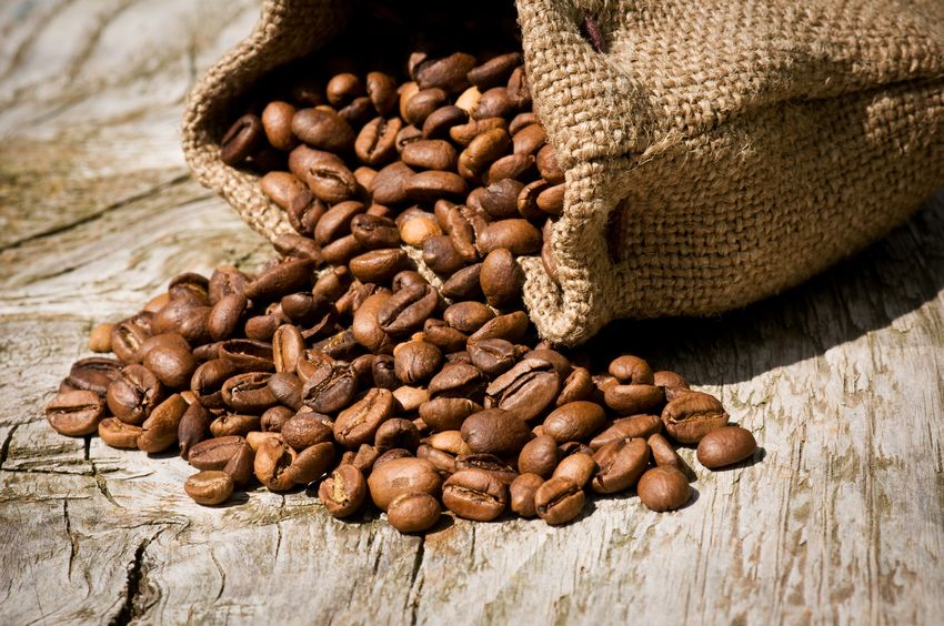 kopi Kuba