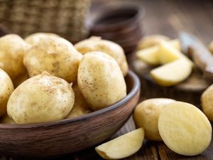 Rasa Kentang Lokal RI Lebih Lezat, Kenapa Industri Pilih Impor?