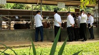 Presiden Jokowi mendapat penjelasan soal jenis-jenis sapi di peternakan milik PT Karya Anugerah Rumpin (KAR).