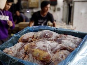 Importir Terbukti Pasok Daging Beku Banyak Lemak, Apa Sanksinya?