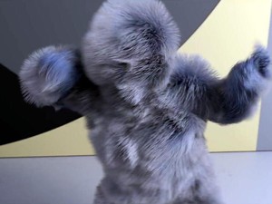 Bulu yang Berjoget-joget di Video Klip Baru Major Lazer