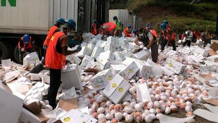 Ratusan Ton Buah Impor asal Tiongkok Dimusnahkan