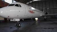 Bentuk awalnya cuma sebagai departemen layanan udara, namun tujuh tahun kemudian atau tepatnya pada 1970 akhirnya Pertamina mendirikan PT Pelita Air Service, anak perusahaan otonom yang menyediakan operasi penerbangan berkelanjutan.  