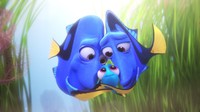 Mampukah Dory kembali lagi bersama orang tuanya layaknya sewaktu ia kecil dulu? (Dok. Disney Pixar)