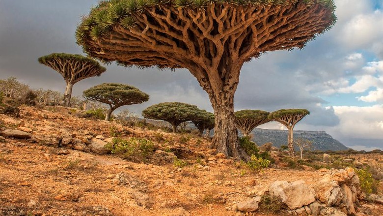 3 Tempat Di Timur Tengah Yang Seperti Di Planet Lain