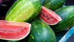 Sebelum Memakannya, Intip Dulu Kandungan Gula 13 Buah Manis Segar Ini!