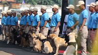 Dalam acara itu, polisi memperagakan cara kerja mengungkap penyelundupan narkoba.