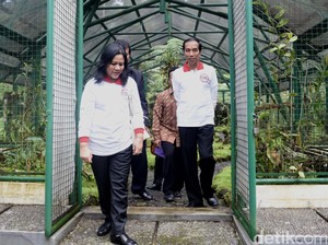 Akhir Pekan, Jokowi Keliling Kebun Raya Cibodas dan Belanja di Pasar Cipanas