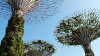 Inilah Gardens by The Bay, sebuah taman indoor dengan berbagai tanaman dengan konsep modern di Singapura (Randy/detikTravel)