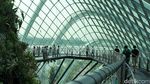 Foto: Melihat Gardens By The Bay yang Dikunjungi Kim Jong Un