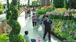 Melihat Bunga & Tumbuhan Dunia di Gardens by The Bay