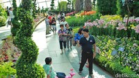 Konservatorium Flower Dome menyimpan bunga dari berbagai negara, seperti Afrika Selatan, California, Spanyol dan Italia. Uniknya, bunga dan tumbuhan yang ada bisa tumbuh dengan baik dan subur (Randy/detikTravel)