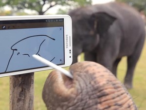 Seekor Gajah Memukau dengan Galaxy Note