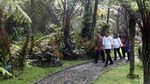 Jokowi Kunjungi Pasar Cipanas