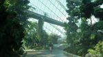 Foto: Melihat Gardens By The Bay yang Dikunjungi Kim Jong Un