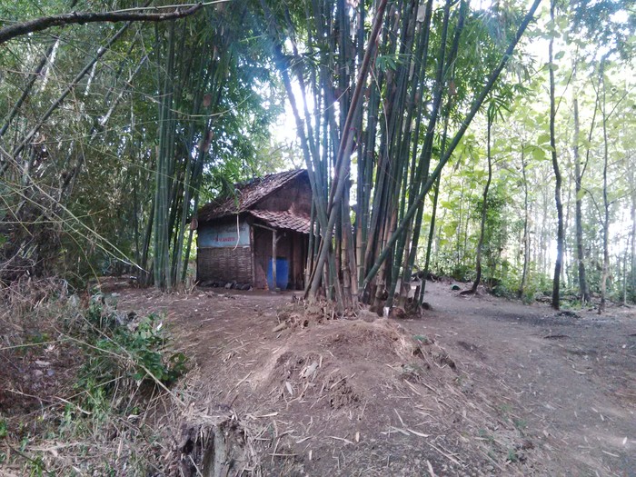 33+ Rumah Gubuk Bambu PNG
