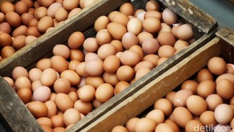 Arab Saudi Larang Impor Telur dan Ayam dari 40 Negara, RI Masuk Daftar!