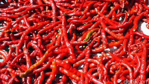 Cabai merah keriting. dikhy sasra/ilustrasi/detikfoto
