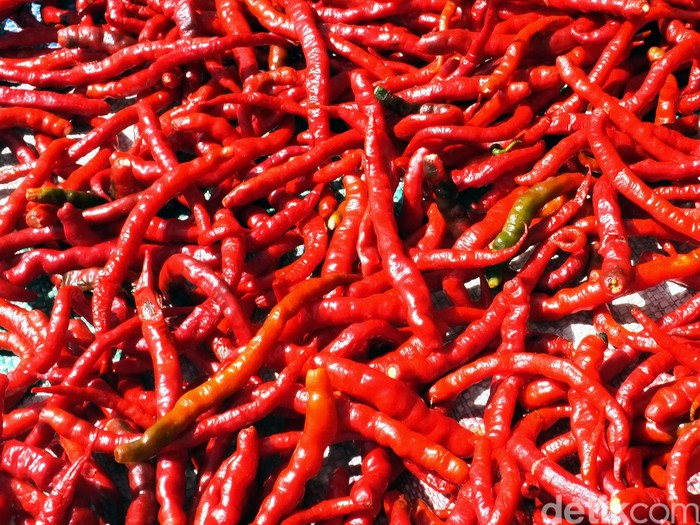 Cabai merah keriting. dikhy sasra/ilustrasi/detikfoto